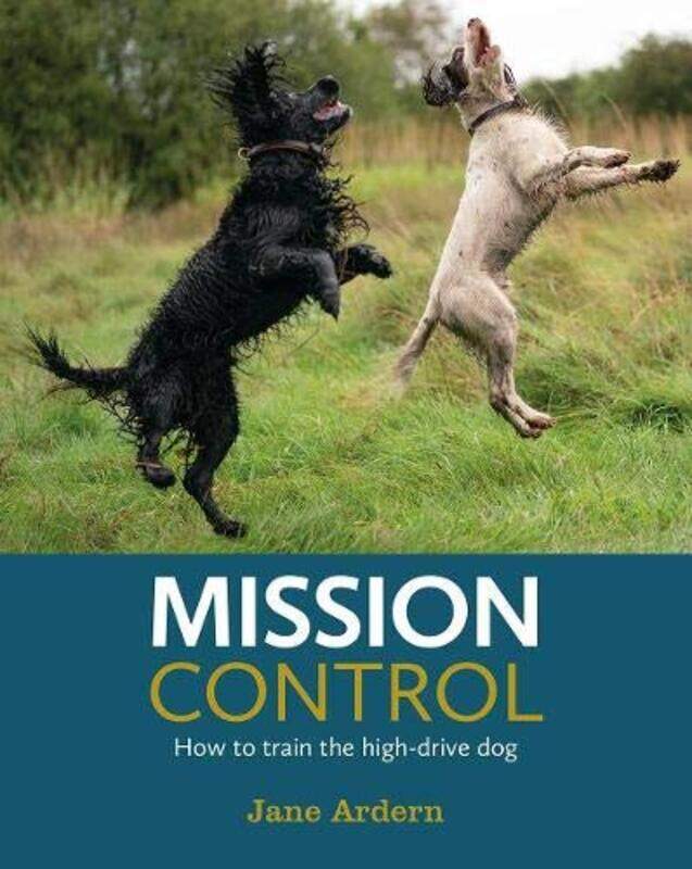 

Mission Control by Jason S McIntosh-Paperback