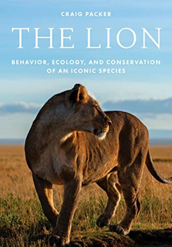 

The Lion by Izzi Howell-Hardcover
