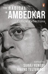 The Radical in Ambedkar: Critical Reflections, Hardcover Book, By: Anand Teltumbde