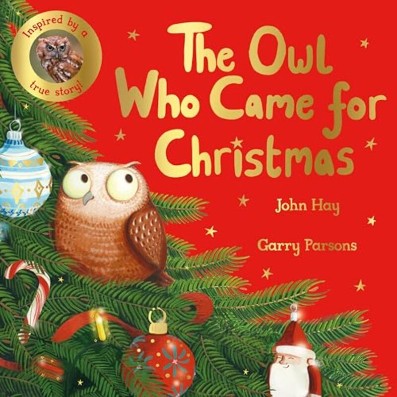 

Owl Who Came For Christmas By Hay John - Hardcover