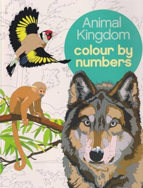 

Animal Kingdom Colour By Numbers By Sanders, Martin (Illustrator) - Olbey, Arpad (Illustrator) Paperback