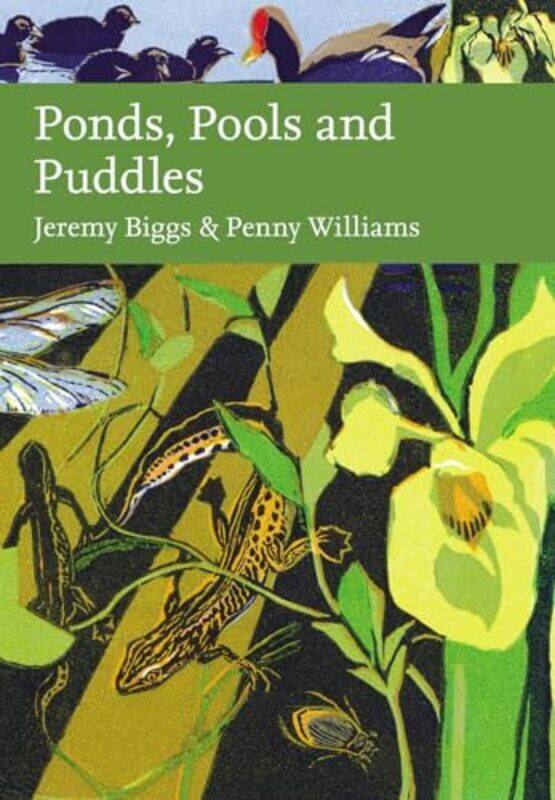 

Ponds Pools And Puddles Collins New Naturalist Library By Biggs Jeremy - Williams Penny - Hardcover