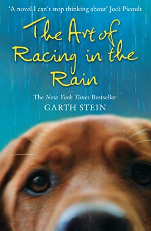 

The Art Of Racing In The Rain by Garth Stein Paperback