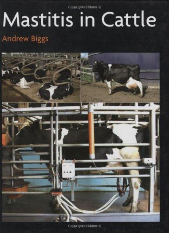 

Mastitis In Cattle by Union Square Co-Hardcover