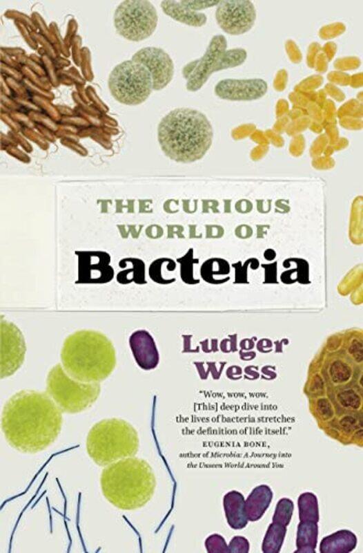 

The Curious World of Bacteria by Ludger WessJamie McIntosh-Hardcover