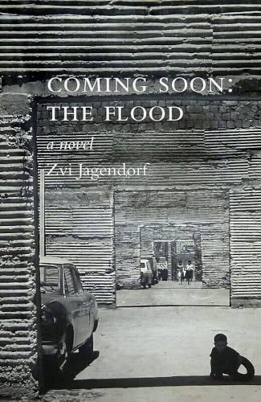 

Coming Soon The Flood by Zvi Jagendorf-Paperback