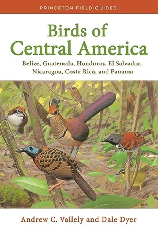 

Birds Of Central America by Andrew VallelyDale Dyer-Paperback