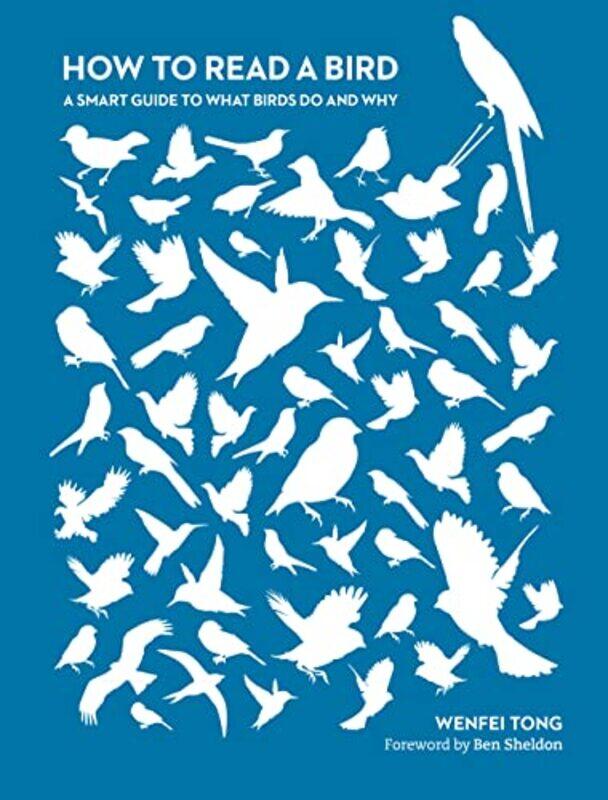 

How to Read a Bird by Mark BrakeNishant Choksi-Paperback