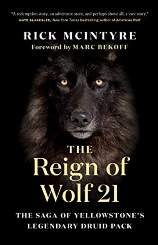 The Reign of Wolf 21: The Saga of Yellowstone Legendary Druid Pack Paperback by McIntyre, Rick - Bekoff, Marc