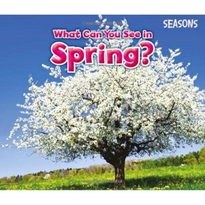 

What Can You See In Spring by Various-Paperback