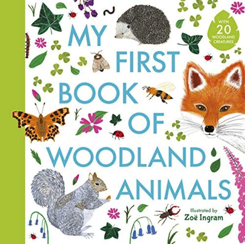 

My First Book of Woodland Animals by Brienna Rossiter-Hardcover