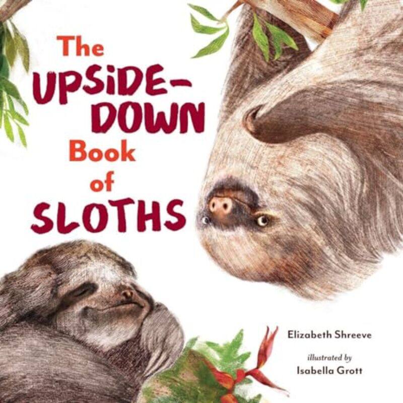 

The UpsideDown Book of Sloths by Elizabeth ShreeveIsabella Grott-Hardcover