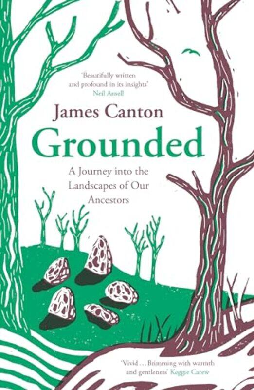 

Grounded by Jenny PedigoHelen Robinson-Paperback