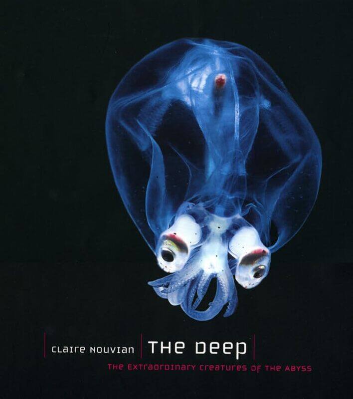 

The Deep by Aria Altmann-Hardcover