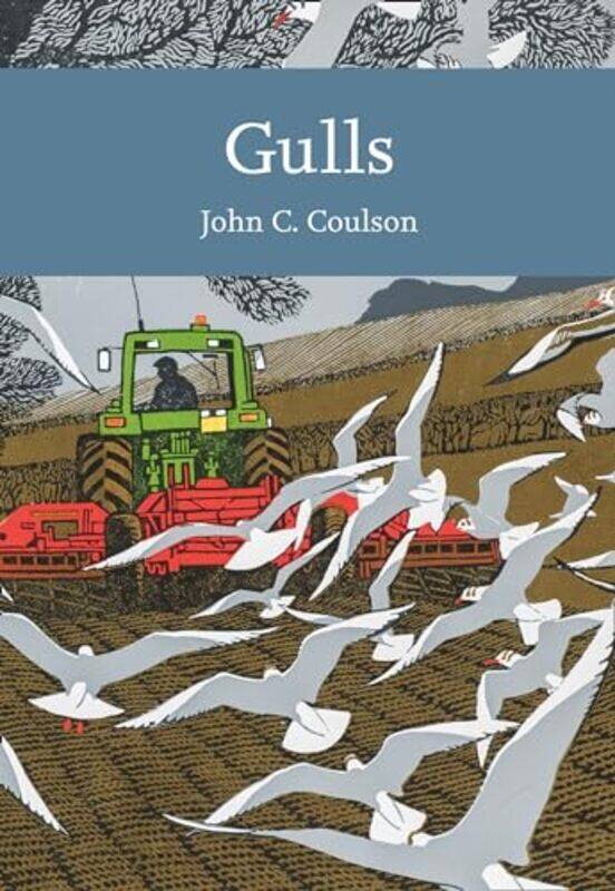 

Gulls by Paul MatsonLucy Anna Scott-Paperback