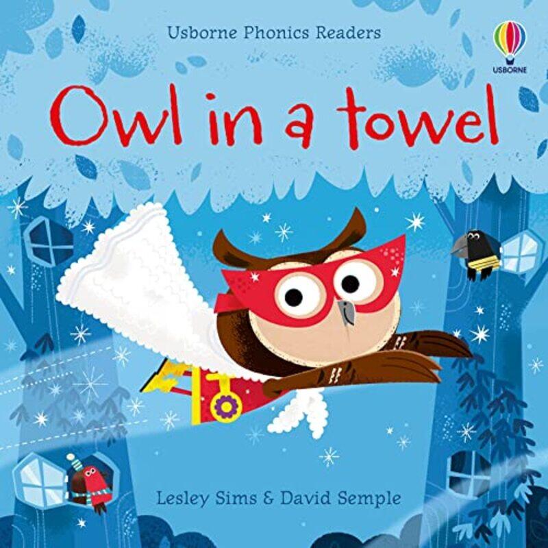 

Owl In A Towel By Lesley Sims Paperback