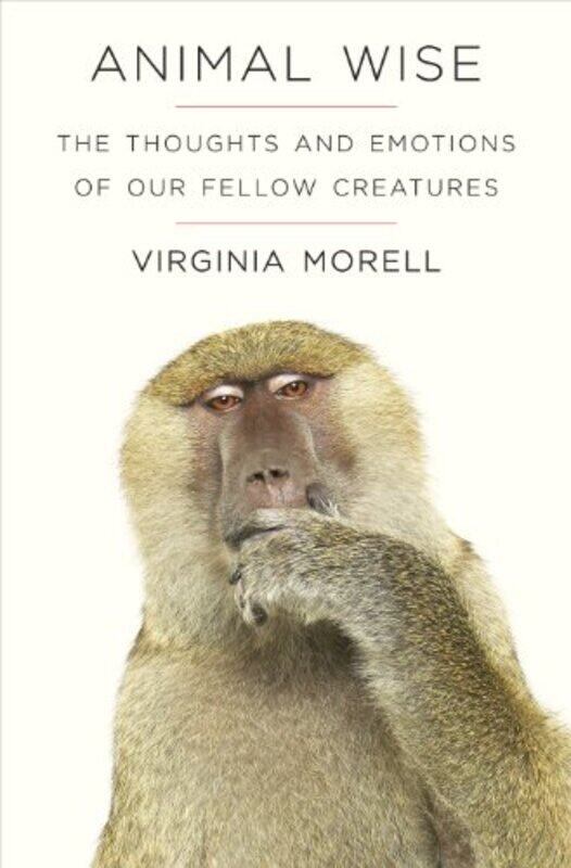 

Animal Wise by Virginia Morell-Paperback