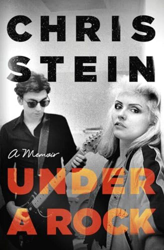 

Under A Rock by Chris Stein-Hardcover