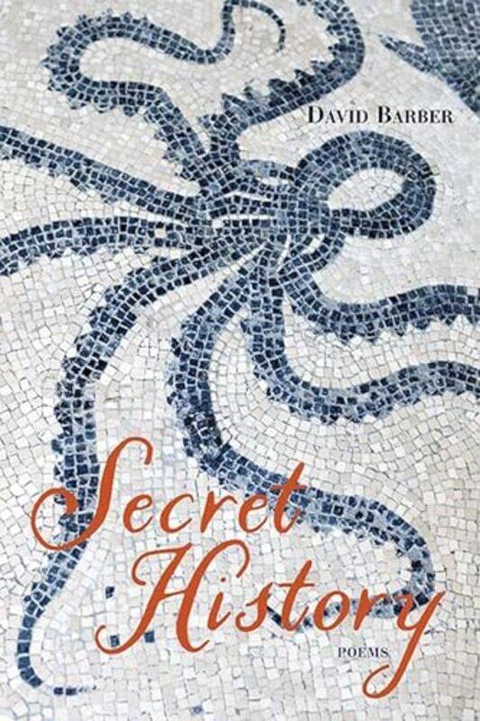 

Secret History by David Barber-Paperback