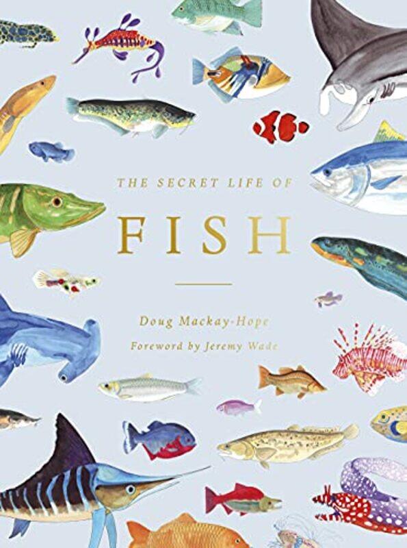 

The Secret Life Of Fish by Doug Mackay-Hope-Hardcover
