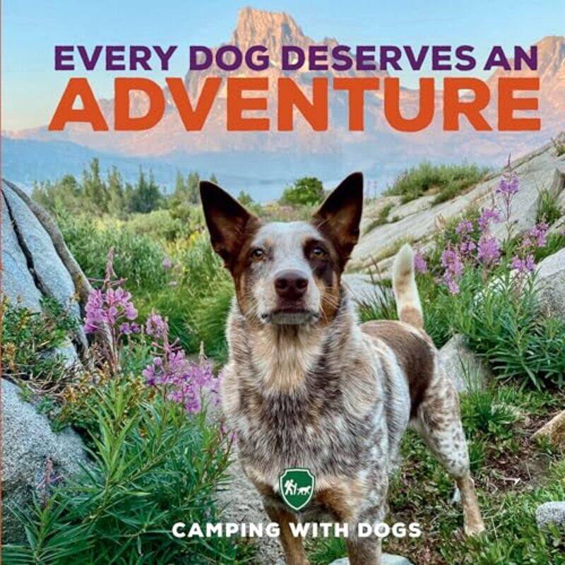 

Every Dog Deserves an Adventure by Katie HaworthDinara Mirtalipova-Hardcover