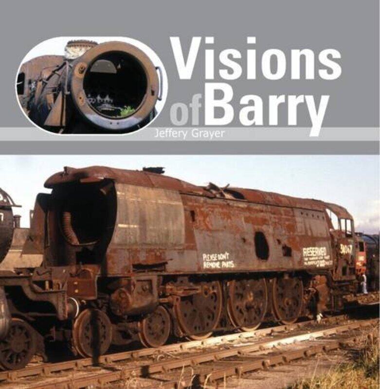 

Visions of Barry by Jeffery Grayer-Paperback