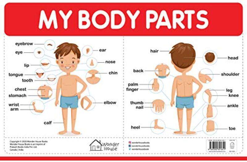 

My Body Parts My First Early Learning Wall Chart: For Preschool, Kindergarten, Nursery And Homesch Paperback by Wonder House Books