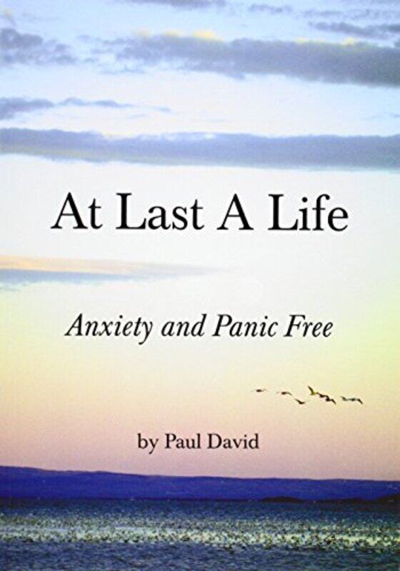 

At Last a Life by Harvard Business ReviewEliana GoldsteinAmy GalloMelody WildingSteven G Rogelberg-Paperback