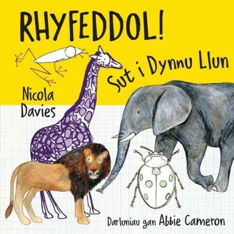 Rhyfeddol Sut i Dynnu Llun by Nicola DaviesAbbie CameronAnwen Pierce-Paperback