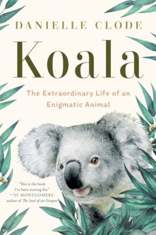 

Koala by Danielle Clode-Paperback