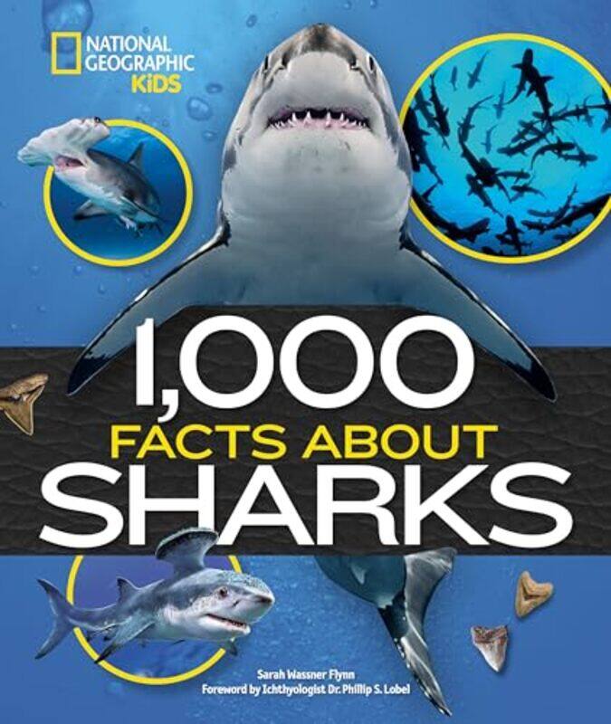 

1000 Facts About Sharks By Flynn Sarah Wassner - Hardcover