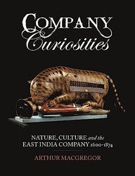 Company Curiosities by Paul J MaginnMatthew TontsSusan M Thompson-Hardcover