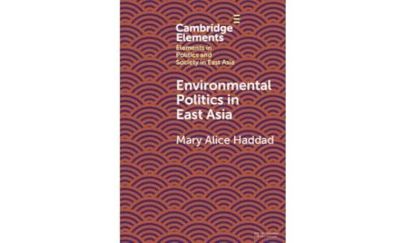 

Environmental Politics in East Asia by Sir Alistair SpaldingJason Raish-Hardcover