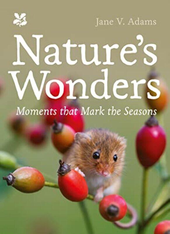 

Natures Wonders by Olivier Lacrouts-Hardcover