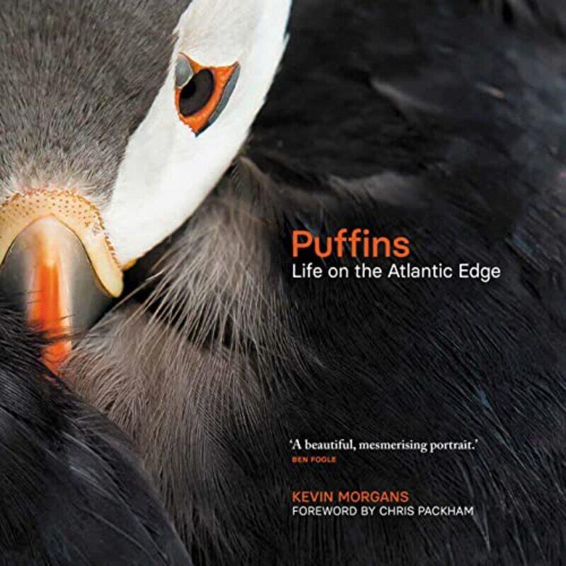 

Puffins by Emilie Feldman-Hardcover