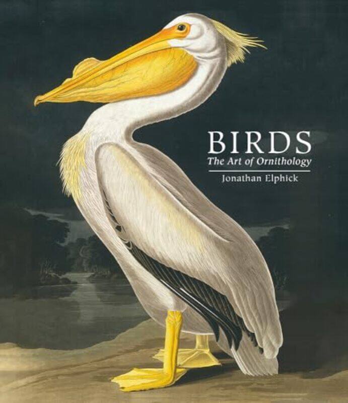 

Birds by Priscilla Flinders University Australia Dunk-WestKate Saxton-Hardcover