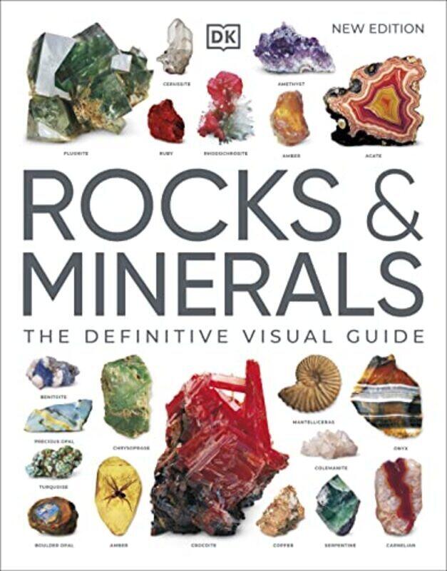 

Rocks & Minerals Paperback by Dk