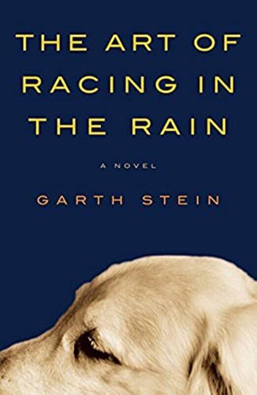 

The Art of Racing in the Rain , Paperback by Garth Stein