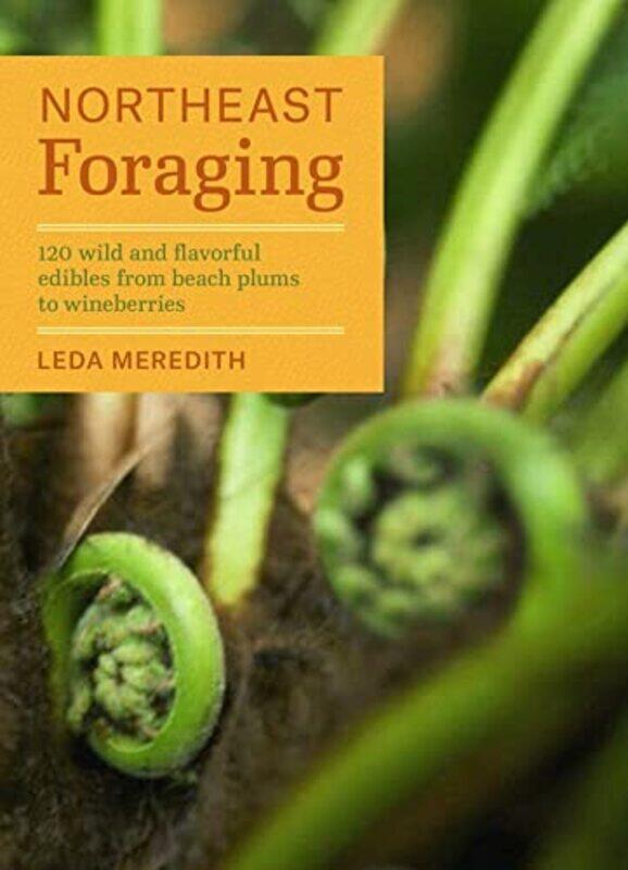 

Northeast Foraging By Meredith Leda - Paperback
