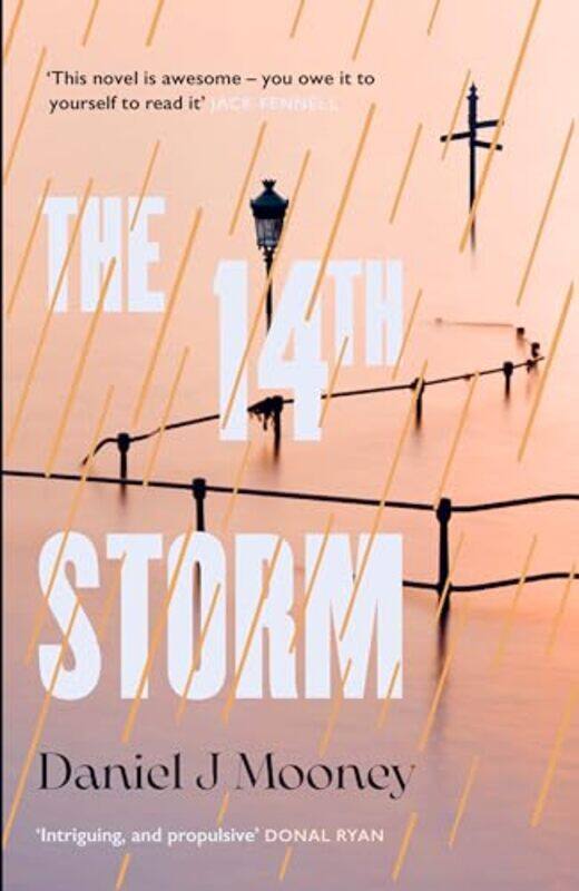 

The 14th Storm by Daniel J Mooney-Paperback
