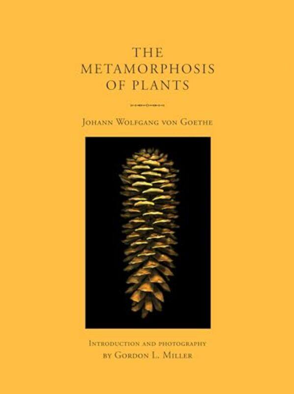 

Metamorphosis Of Plants By Miller Gordon L - Paperback