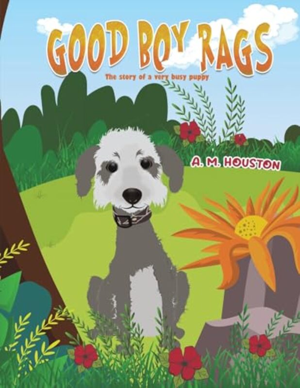 Good Boy Rags by A M Houston-Paperback