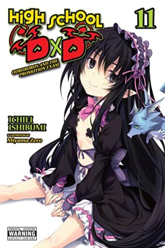 

High School DxD Vol 11 light novel by Ichiei Ishibumi-Paperback