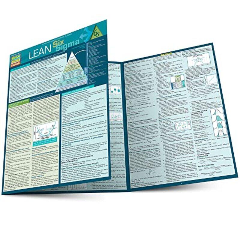 

Lean Six Sigma Quick Study Paperback by Gygi, Craig