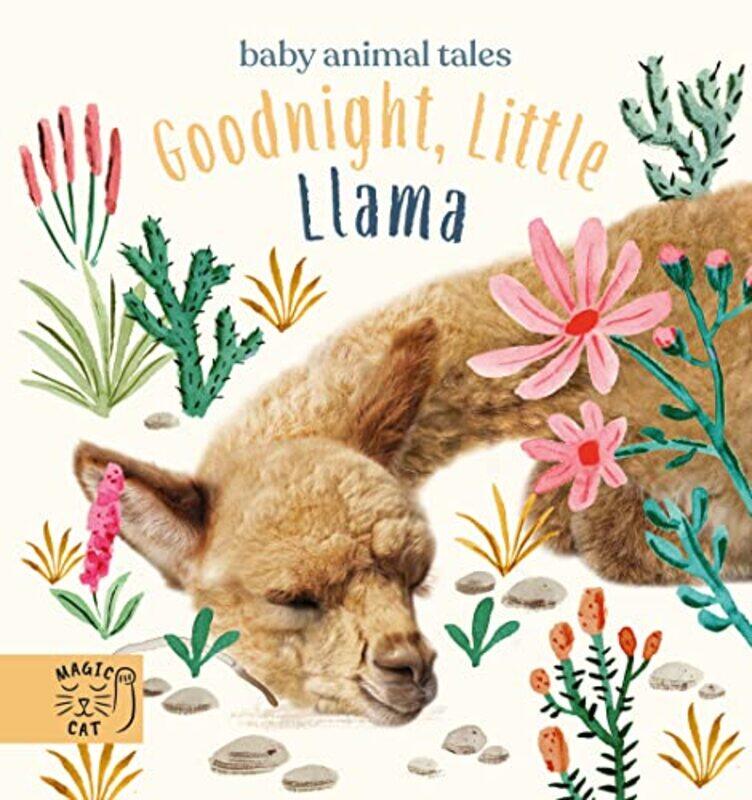 

Goodnight Little Llama by Max WainewrightJohn Haslam-Hardcover