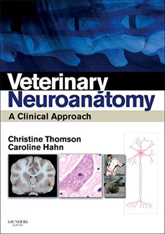 

Veterinary Neuroanatomy by Iain Ayre-Paperback