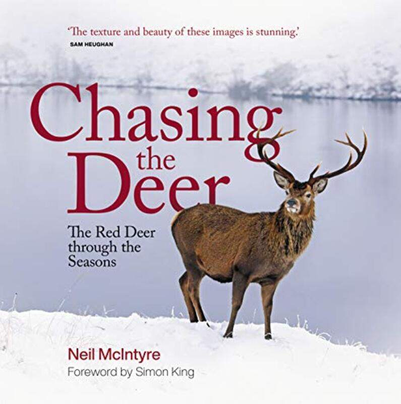 

Chasing the Deer by Isaac Midlands State University Zimbabwe Mhute-Hardcover