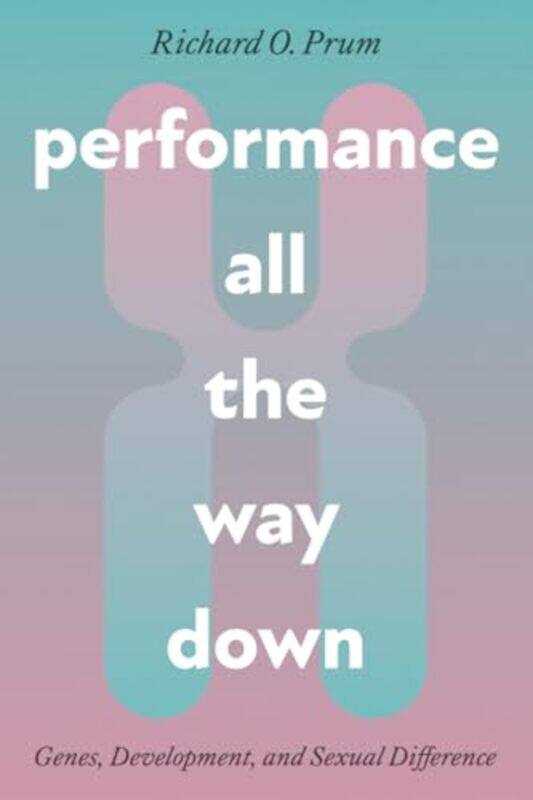 

Performance All the Way Down by Carlos Oliveira-Paperback