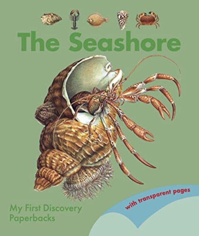 

The Seashore by John Koenig-Paperback