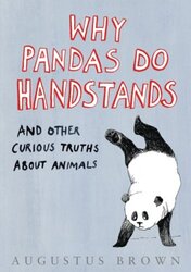 Why Pandas Do Handstands..., Hardcover, By: Augustus Brown